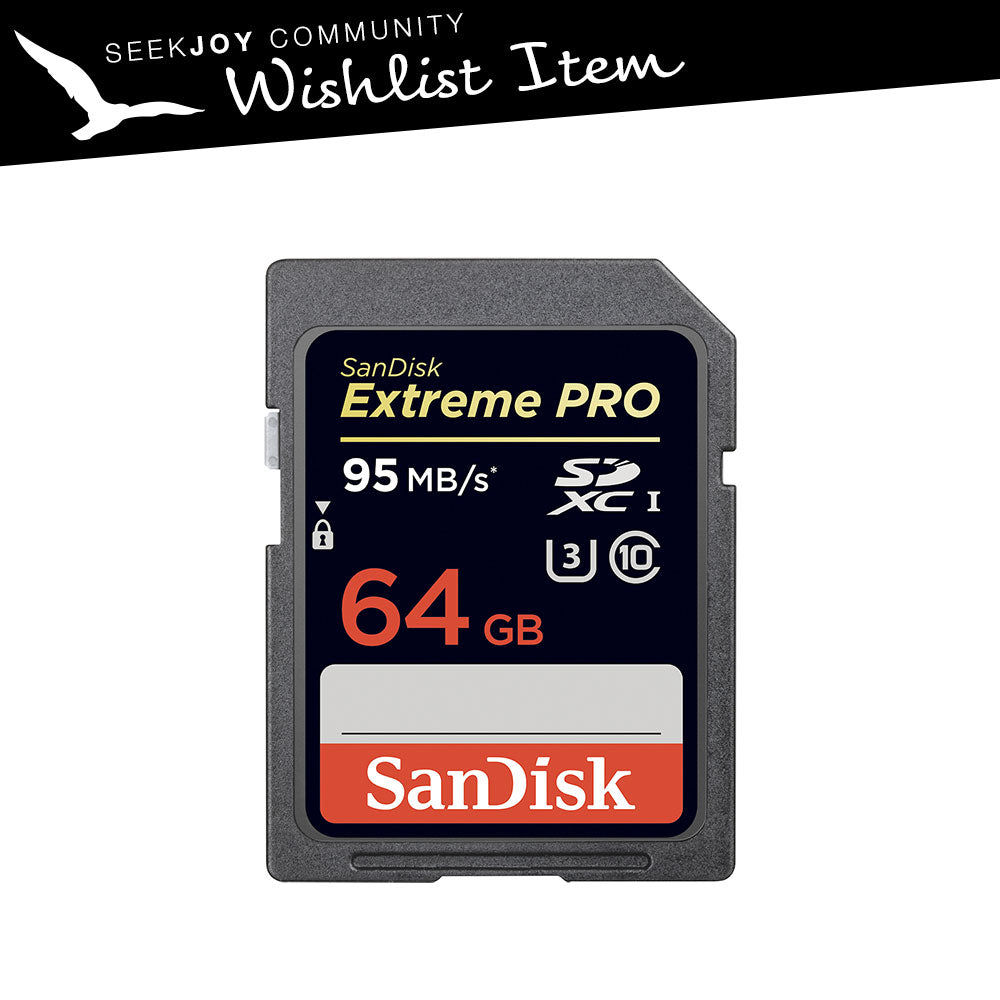 SanDisk Extreme Pro 32gb Class 10 SDHC Memory Card